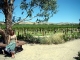 12-australia-adelaide-barossa-valley-wine-vineyards.jpg
