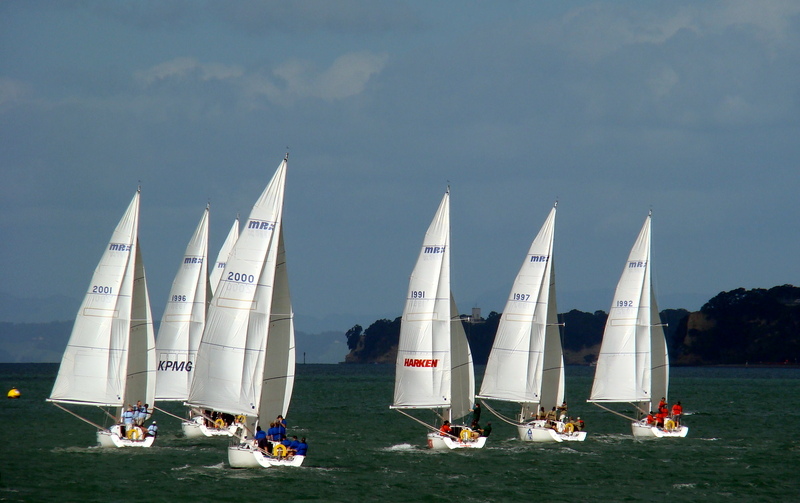 09-new-zealand-auckland-waiheke-island.jpg