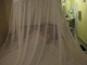 04-daveb-under-mosquito-net.jpg