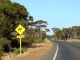 01-western-australia-kalgoorlie-roadtrip.jpg