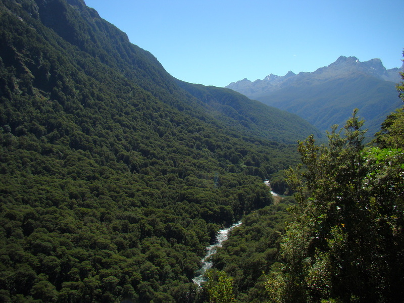 01-new-zealand-south-island-milford-sound-cruise.jpg