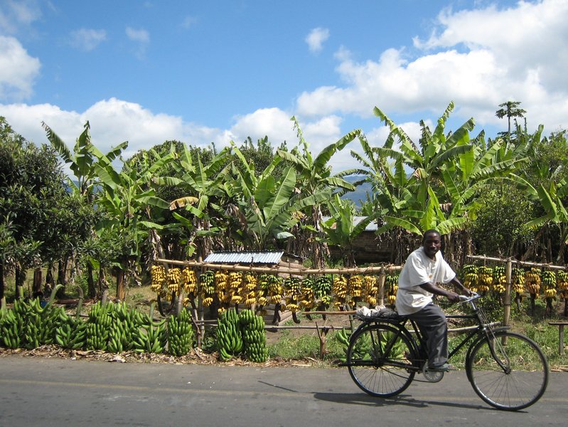 005-africa-tanzania-bananas.jpg