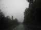 03-new-zealand-road-rain.jpg