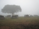 001-africa-tanzania-safari-ngorongoro-crater.jpg