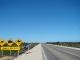 12-australia-eyre-highway-crossing-the-nullarbor-road-signs.jpg