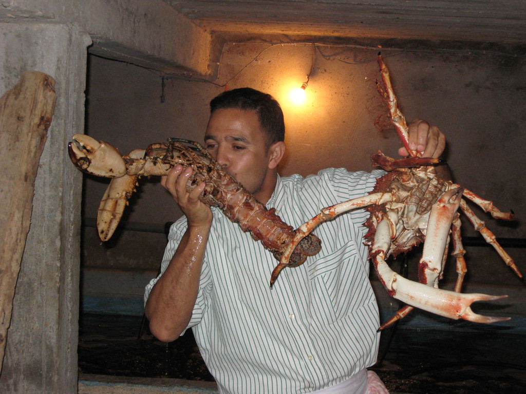 013-spider-crab-at-restaurant.JPG