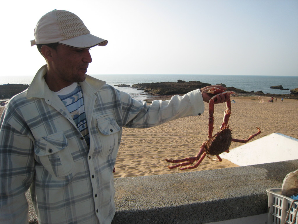 014-fisherman-holds-spider-crab.JPG