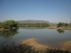 03-india-rajasthan-ranthambore-tiger-park.jpg