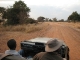001-africa-zambia-south-luangwa-night-safari.jpg