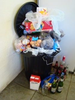 scrap-torquay-bin.jpg