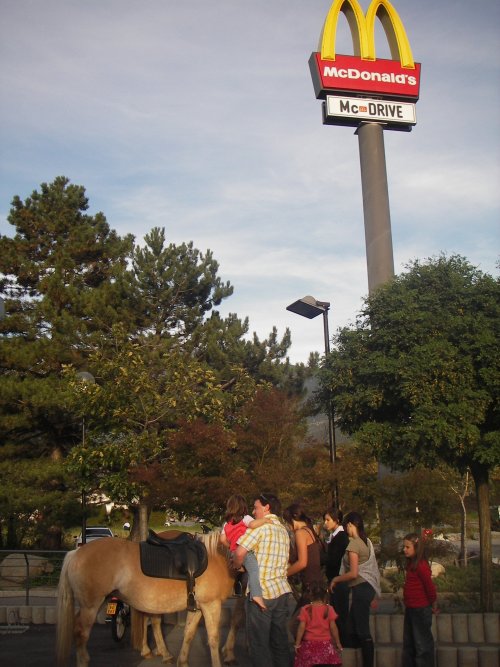 â€œA Big Mac and fries for my steed, pleaseâ€¦â€